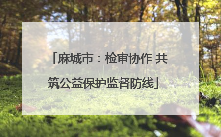 麻城市：检审协作 共筑公益保护监督防线