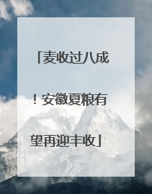 麦收过八成！安徽夏粮有望再迎丰收