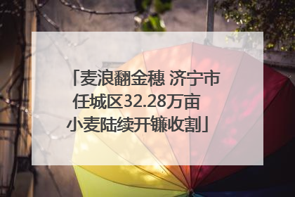 麦浪翻金穗 济宁市任城区32.28万亩小麦陆续开镰收割