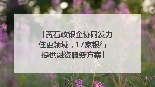 黄石政银企协同发力住更领域，17家银行提供融资服务方案