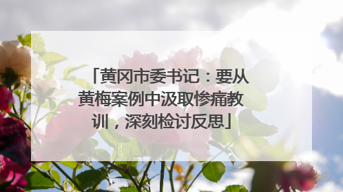 黄冈市委书记：要从黄梅案例中汲取惨痛教训，深刻检讨反思