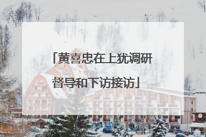黄喜忠在上犹调研督导和下访接访