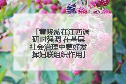 黄晓薇在江西调研时强调 在基层社会治理中更好发挥妇联组织作用