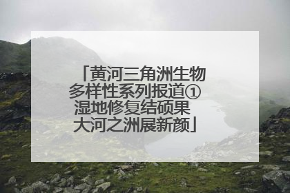 黄河三角洲生物多样性系列报道①湿地修复结硕果 大河之洲展新颜