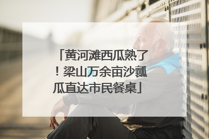 黄河滩西瓜熟了！梁山万余亩沙瓤瓜直达市民餐桌