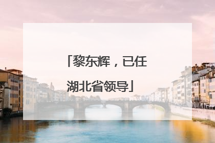 黎东辉，已任湖北省领导