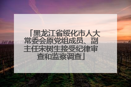 黑龙江省绥化市人大常委会原党组成员、副主任宋树生接受纪律审查和监察调查