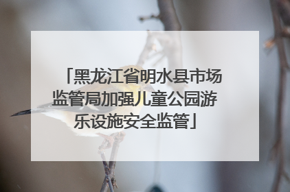 黑龙江省明水县市场监管局加强儿童公园游乐设施安全监管