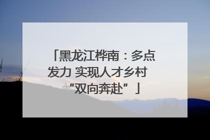 黑龙江桦南：多点发力 实现人才乡村“双向奔赴”