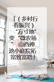 （乡村行·看振兴）“方寸地”变“微农场” 山西神池小庭院拓宽致富路