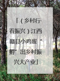（乡村行·看振兴）江西赣县小鸡蛋“孵”出乡村振兴大产业