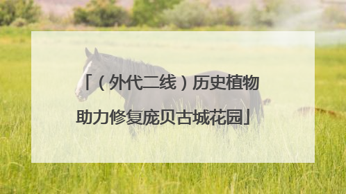 （外代二线）历史植物助力修复庞贝古城花园