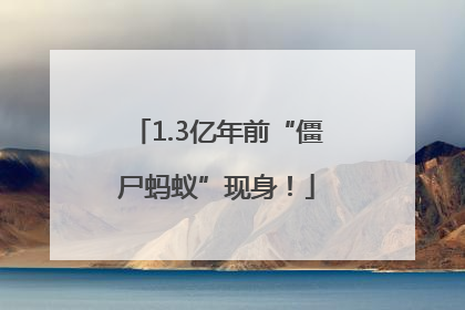 1.3亿年前“僵尸蚂蚁”现身！