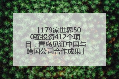 179家世界500强投资412个项目，青岛见证中国与跨国公司合作成果