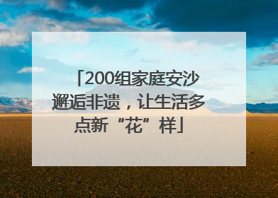 200组家庭安沙邂逅非遗，让生活多点新“花”样