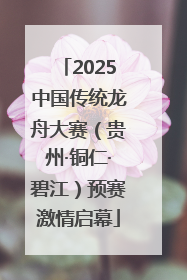 2025中国传统龙舟大赛（贵州·铜仁·碧江）预赛激情启幕