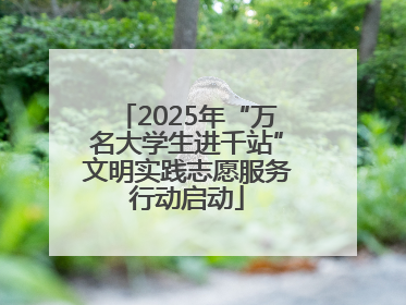 2025年“万名大学生进千站”文明实践志愿服务行动启动
