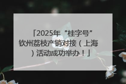 2025年“桂字号”钦州荔枝产销对接（上海）活动成功举办！