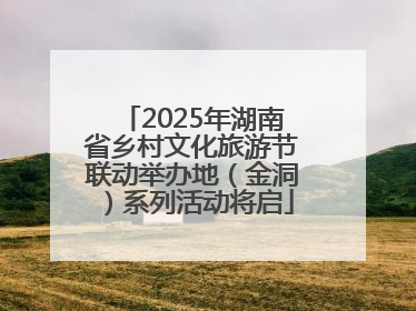 2025年湖南省乡村文化旅游节联动举办地（金洞）系列活动将启