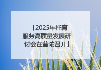 2025年托育服务高质量发展研讨会在普陀召开