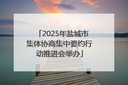 2025年盐城市集体协商集中要约行动推进会举办