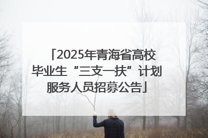 2025年青海省高校毕业生“三支一扶”计划服务人员招募公告
