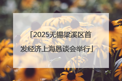2025无锡梁溪区首发经济上海恳谈会举行