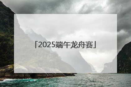 2025端午龙舟赛