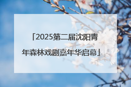 2025第二届沈阳青年森林戏剧嘉年华启幕