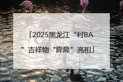 2025黑龙江“村BA”吉祥物“隆隆”亮相