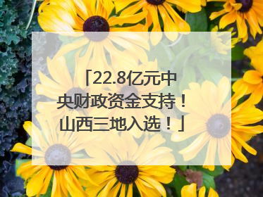22.8亿元中央财政资金支持！山西三地入选！