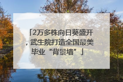 2万多株向日葵盛开，武生院打造全国最美毕业“背景墙”