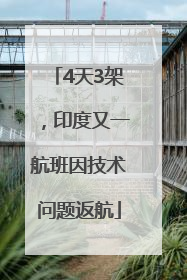 4天3架，印度又一航班因技术问题返航