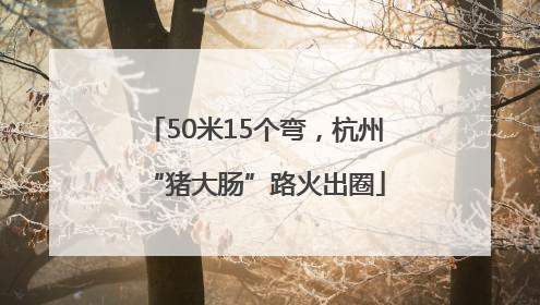 50米15个弯,杭州“猪大肠”路火出圈
