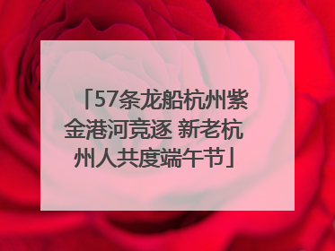 57条龙船杭州紫金港河竞逐 新老杭州人共度端午节