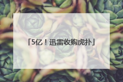 5亿！迅雷收购虎扑