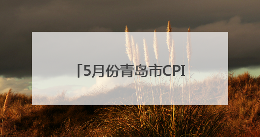 5月份青岛市CPI同比上涨0.3%