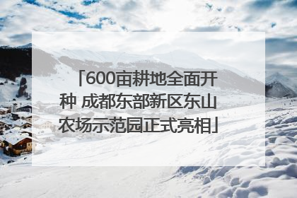 600亩耕地全面开种 成都东部新区东山农场示范园正式亮相