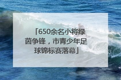 650余名小将绿茵争锋，市青少年足球锦标赛落幕