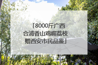 8000斤广西合浦香山鸡嘴荔枝赠西安市民品鉴