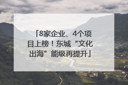8家企业、4个项目上榜！东城“文化出海”能级再提升