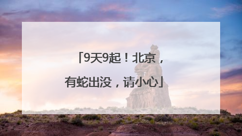 9天9起！北京，有蛇出没，请小心