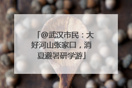 @武汉市民：大好河山张家口，消夏避暑研学游