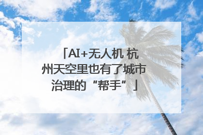 AI+无人机 杭州天空里也有了城市治理的“帮手”