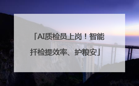 AI质检员上岗！智能扦检提效率、护粮安