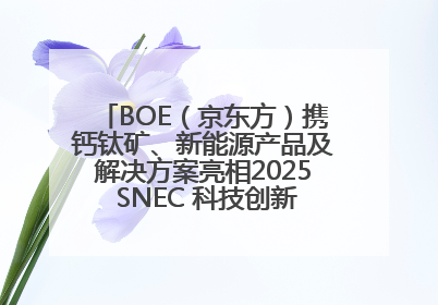BOE（京东方）携钙钛矿、新能源产品及解决方案亮相2025 SNEC 科技创新赋能行业绿色发展
