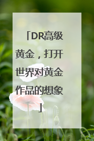 DR高级黄金，打开世界对黄金作品的想象
