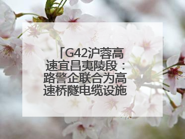 G42沪蓉高速宜昌夷陵段：路警企联合为高速桥隧电缆设施“舒筋通脉”