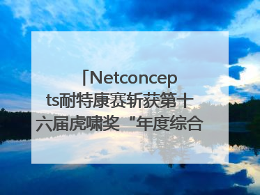 Netconcepts耐特康赛斩获第十六届虎啸奖“年度综合服务商”大奖